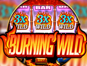 Burning Wild thumbnail